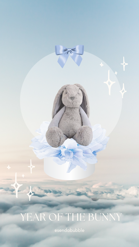 🐇 Bunny Baby